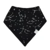 Bib In Midnight Constellation