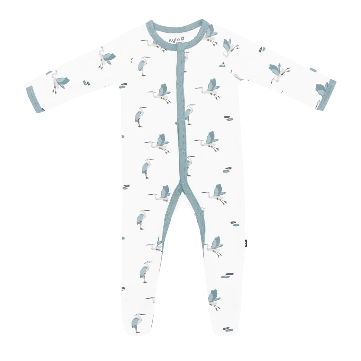 Footie In Blue Heron 1 Footie In Blue Heron