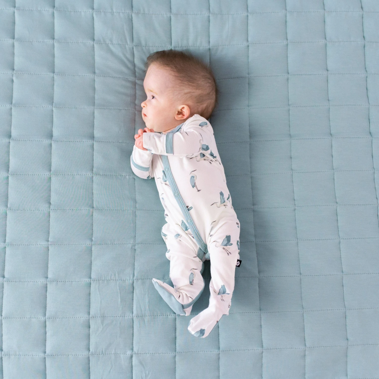 Footie In Blue Heron 2 Footie In Blue Heron - Image 2