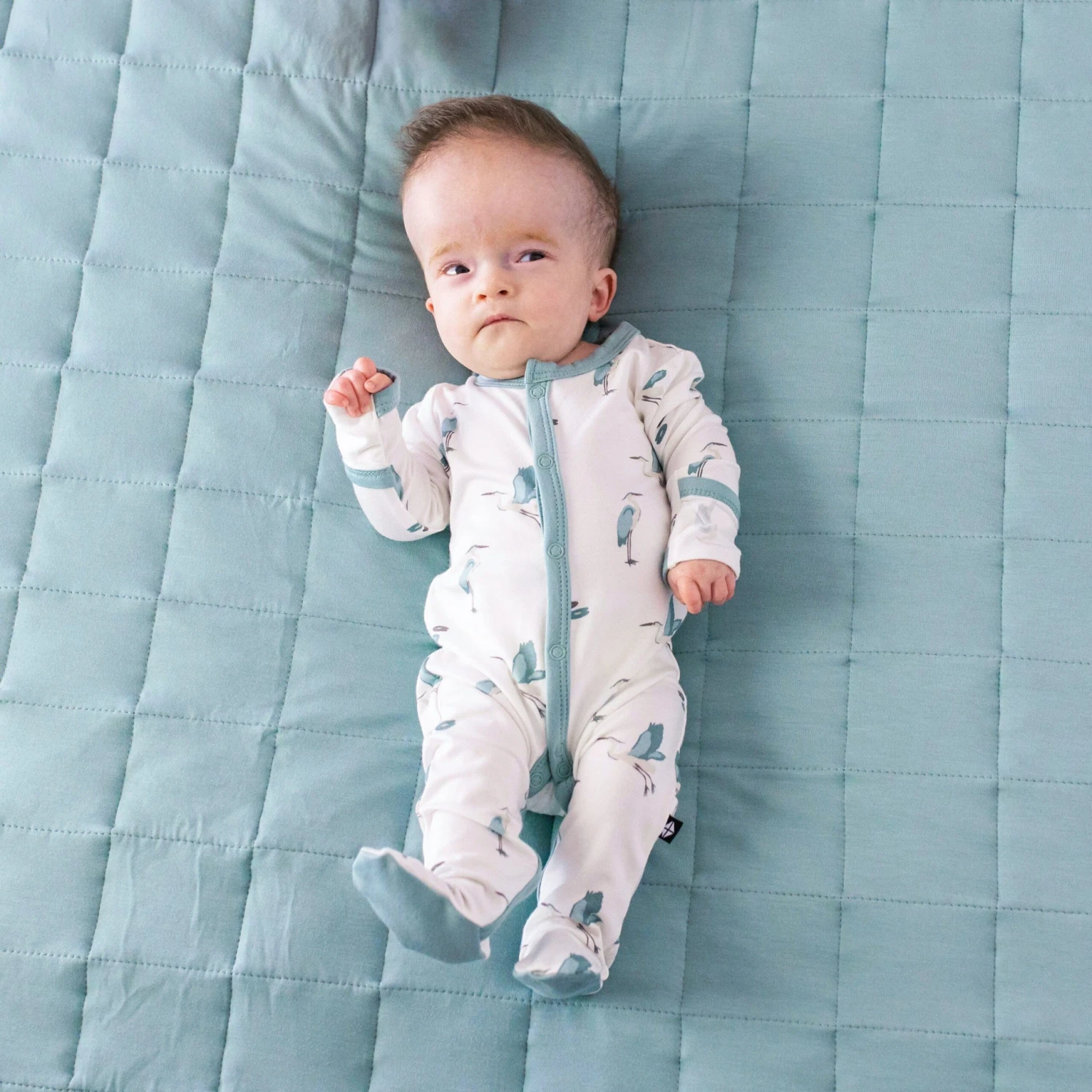 Footie In Blue Heron 3 Footie In Blue Heron - Image 3